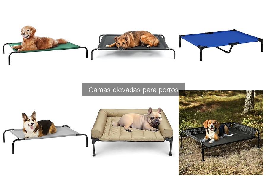 Alternativas a las Camas Elevadas para Perros: Mejores Soluciones