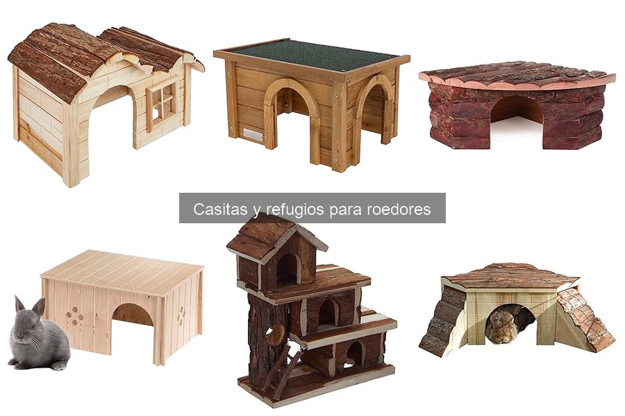 Alternativas a las casitas para roedores: opciones creativas