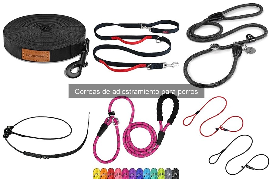 Alternativas a las Correos de Adiestramiento para Perros