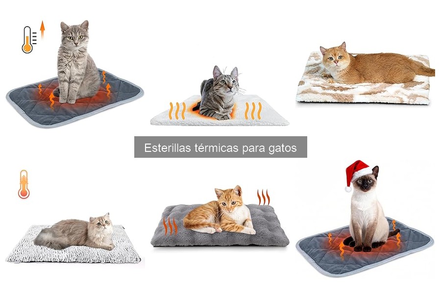 Alternativas a las Esterillas Térmicas para Gatos