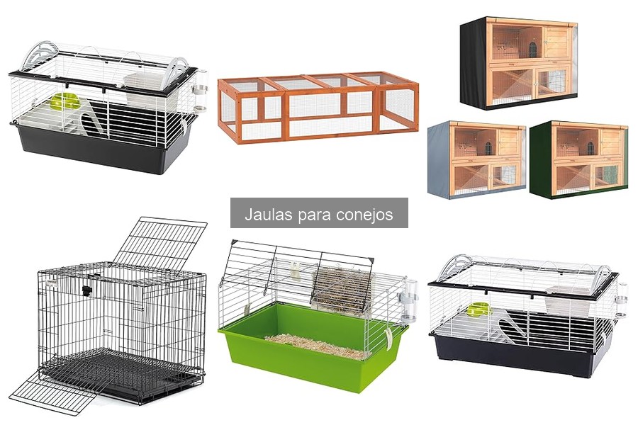 Alternativas a las Jaulas para Conejos: Opciones Viables