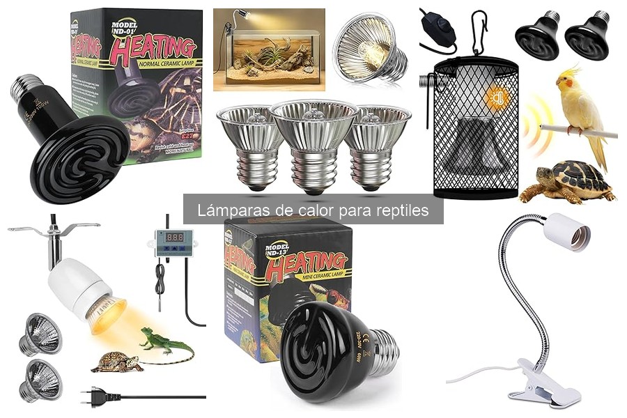 Alternativas a las Lámparas de Calor para Reptiles