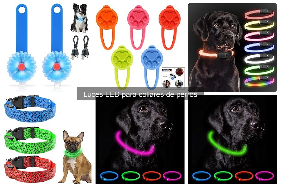 Alternativas a las luces LED para collares de perros