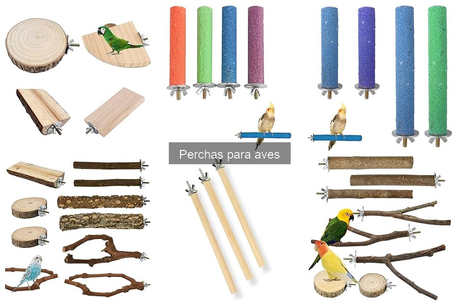 Alternativas a las Perchas para Aves: Soluciones Únicas