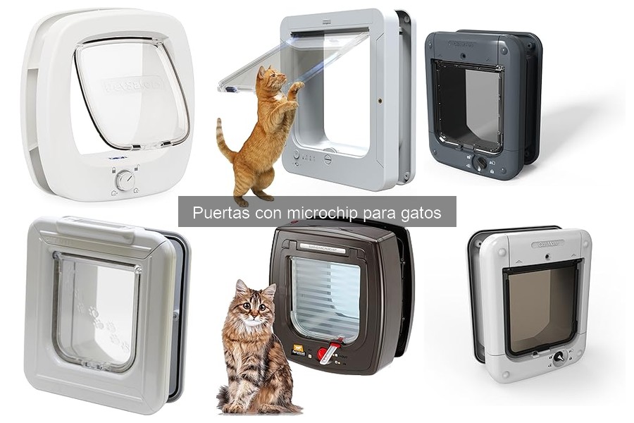 Alternativas a las puertas con microchip para gatos