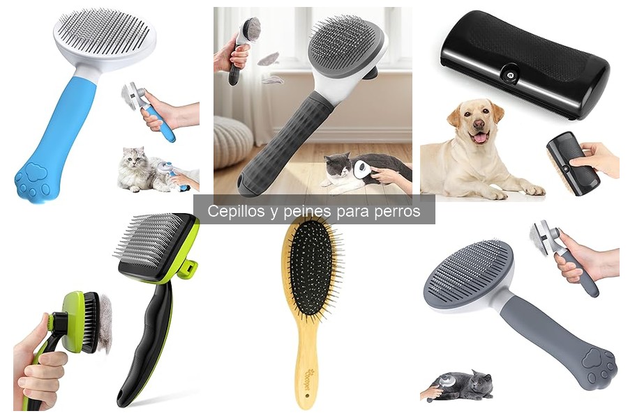 Alternativas a los Cepillos Tradicionales para Perros