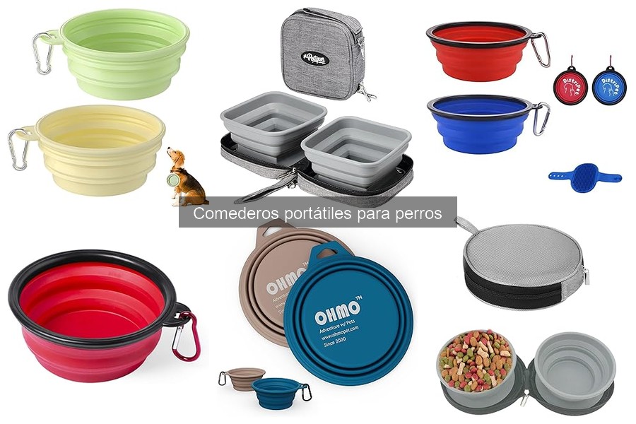 Alternativas a los Comederos Portátiles para Perros