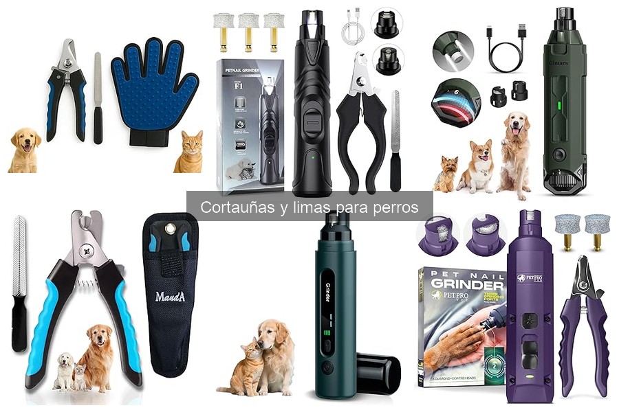 Alternativas a los cortauñas para perros: soluciona el cuidado