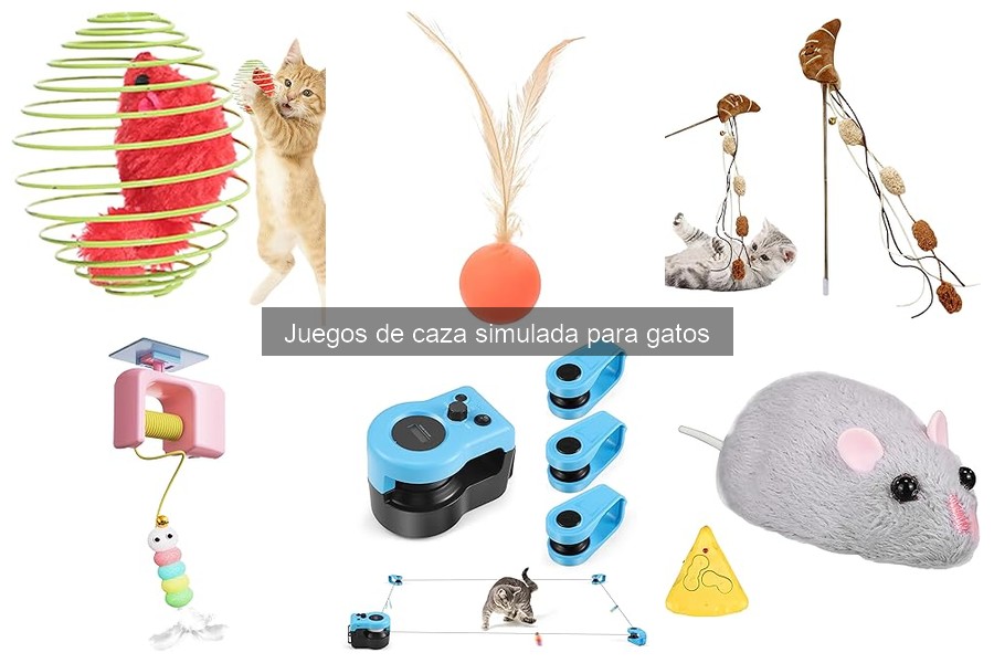 Alternativas a los juegos de caza simulada para gatos