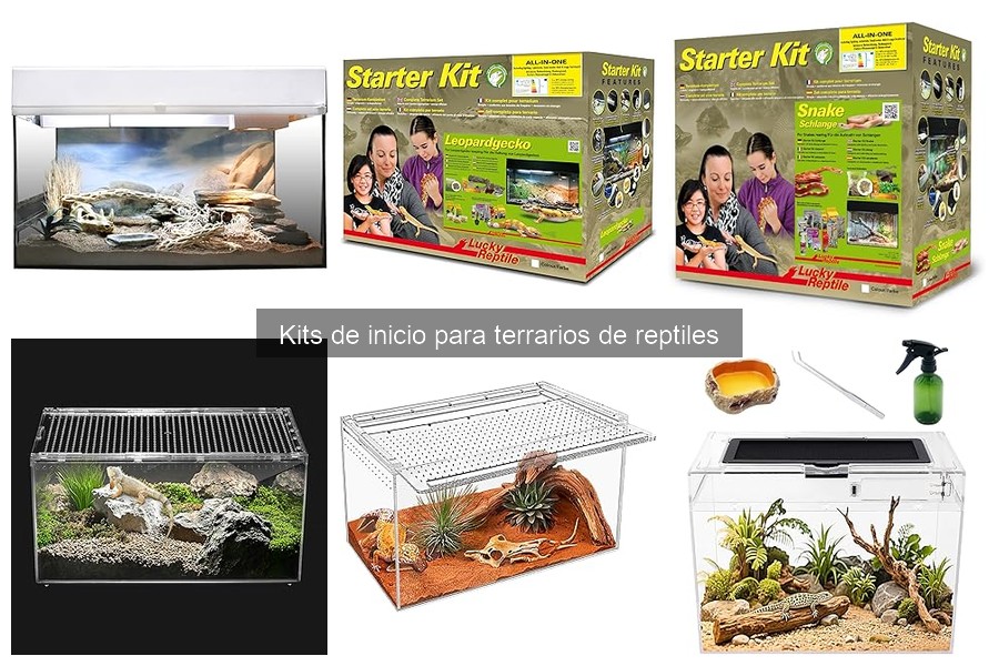 Alternativas a los kits de inicio para terrarios de reptiles