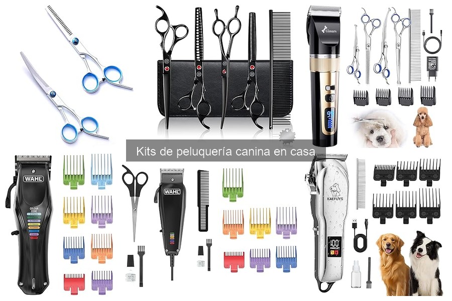 Alternativas a los Kits de Peluquería Canina en Casa