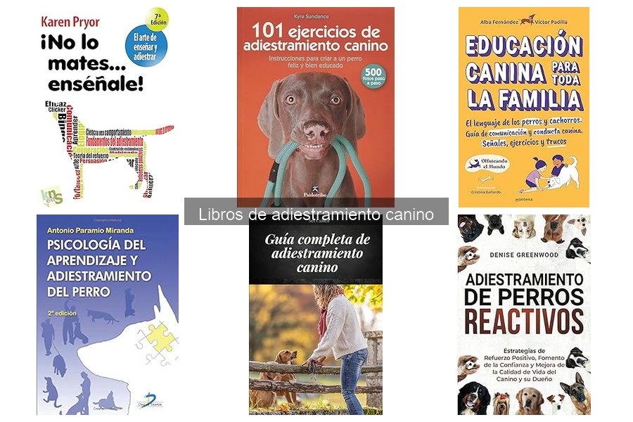 Alternativas a los libros de adiestramiento canino