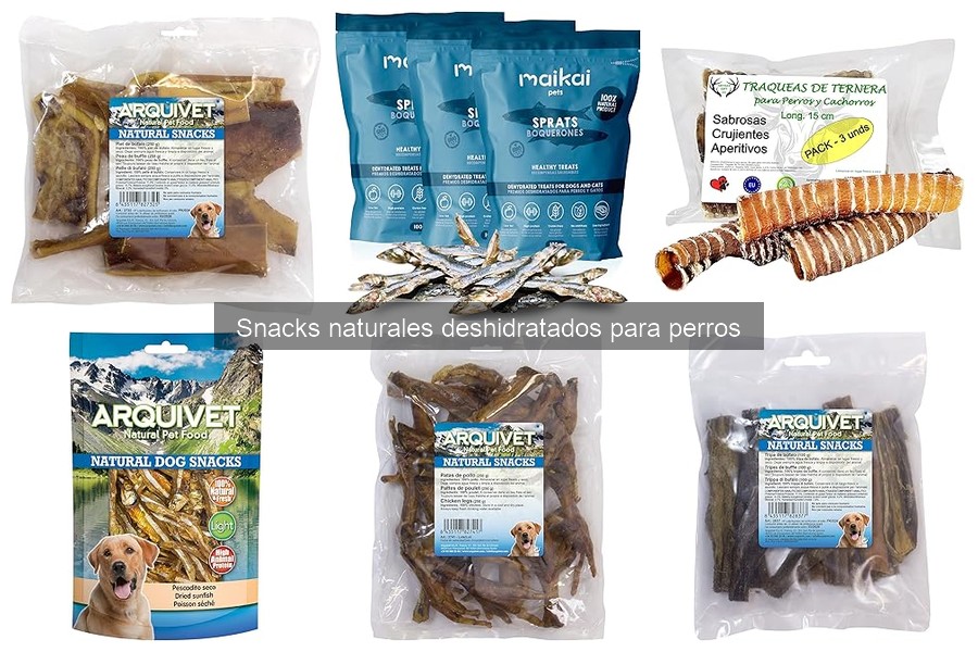 Alternativas a los snacks deshidratados para perros