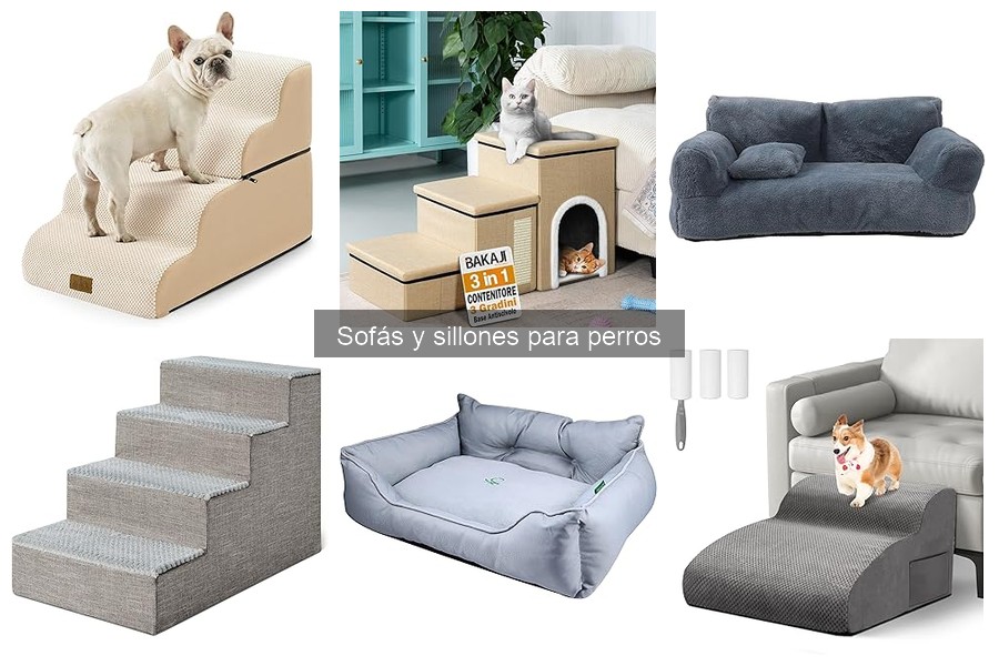 Alternativas a los Sofás para Perros: Mejores Opciones