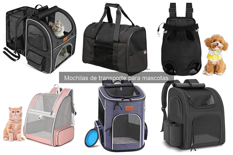 Alternativas a mochilas de transporte para mascotas