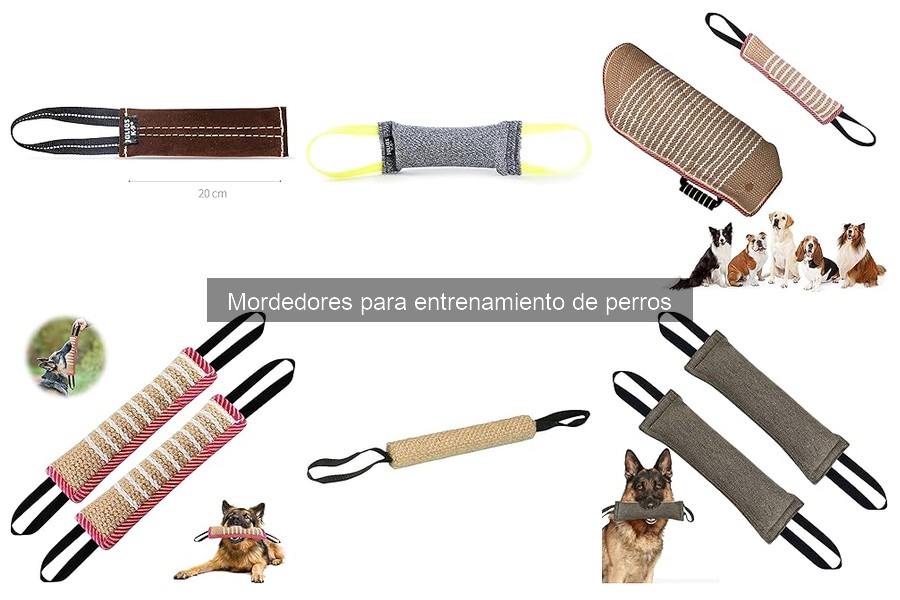 Alternativas a mordedores para perros que no muerden