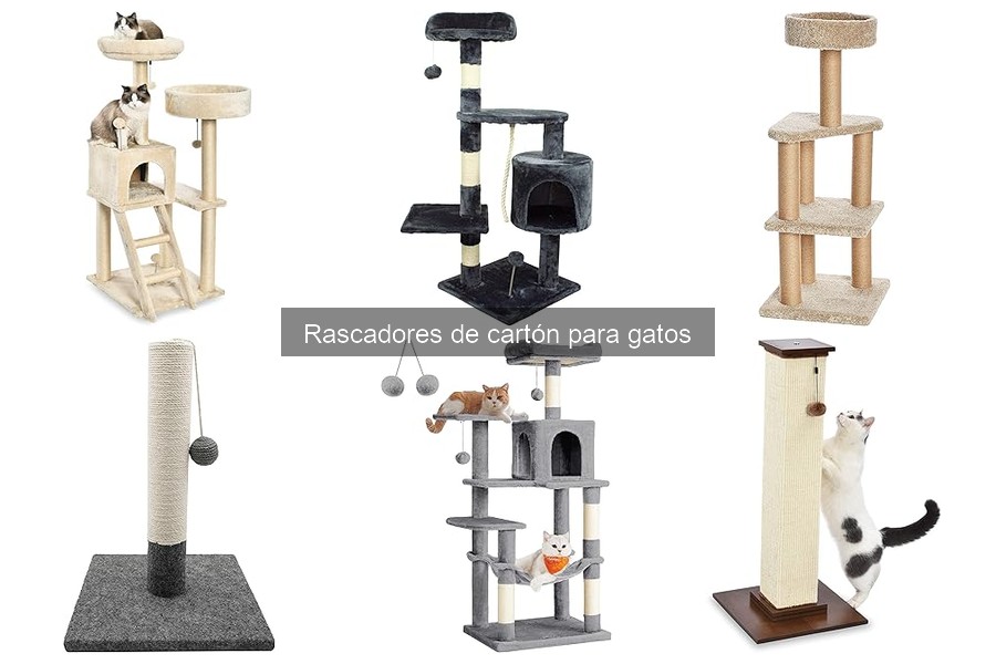 Alternativas a rascadores de cartón para gatos: opciones ideales
