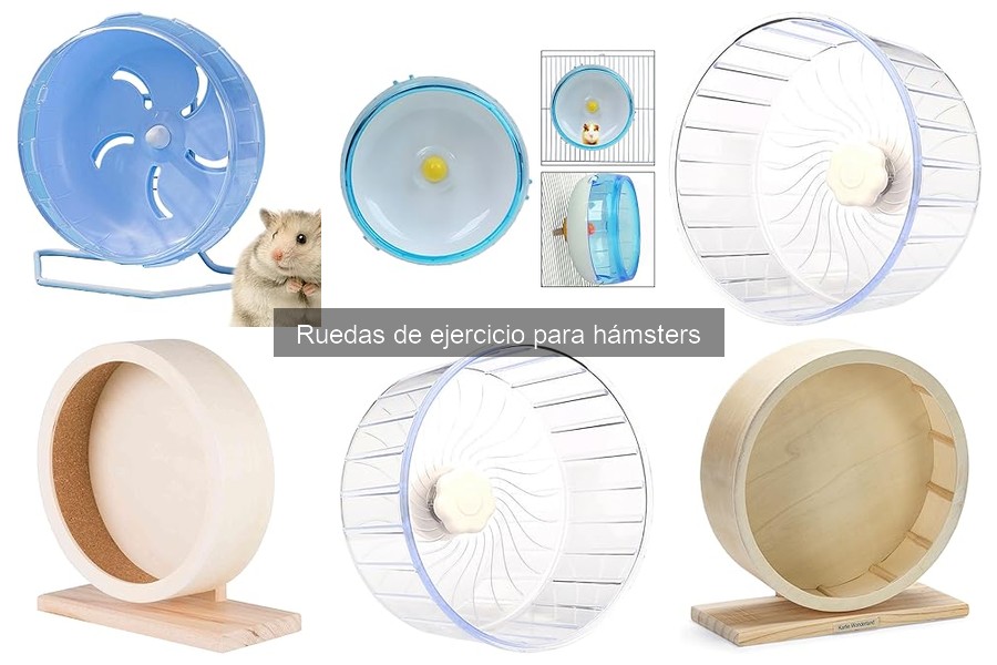 Alternativas a Ruedas de Ejercicio para Hámsters