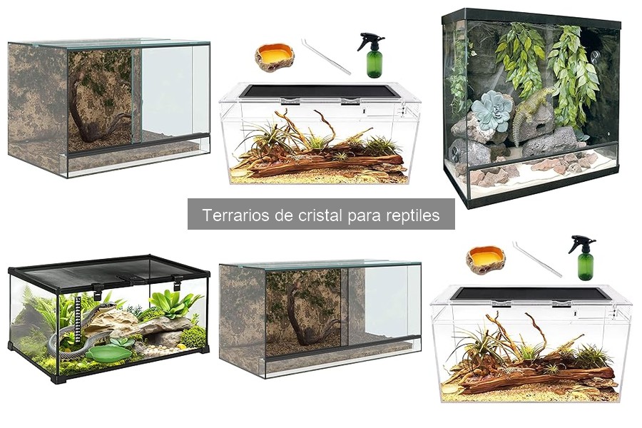 Alternativas a terrarios de cristal para reptiles