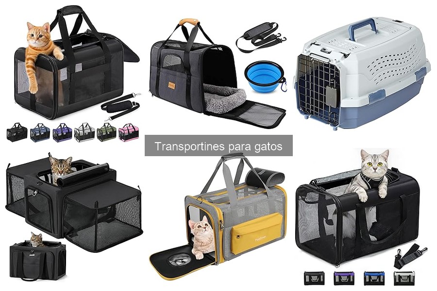 Alternativas a transportines para gatos: mochilas y más