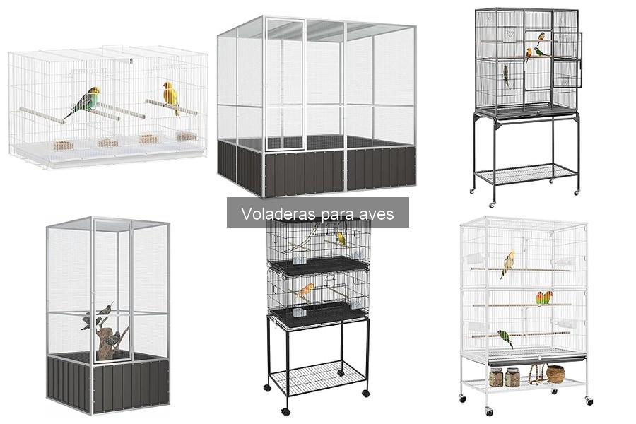 Alternativas a voladeras para aves: opciones seguras y efectivas