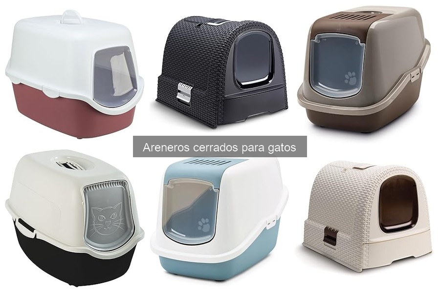 Alternativas al Arenero Cerrado para Gatos: Soluciones Prácticas