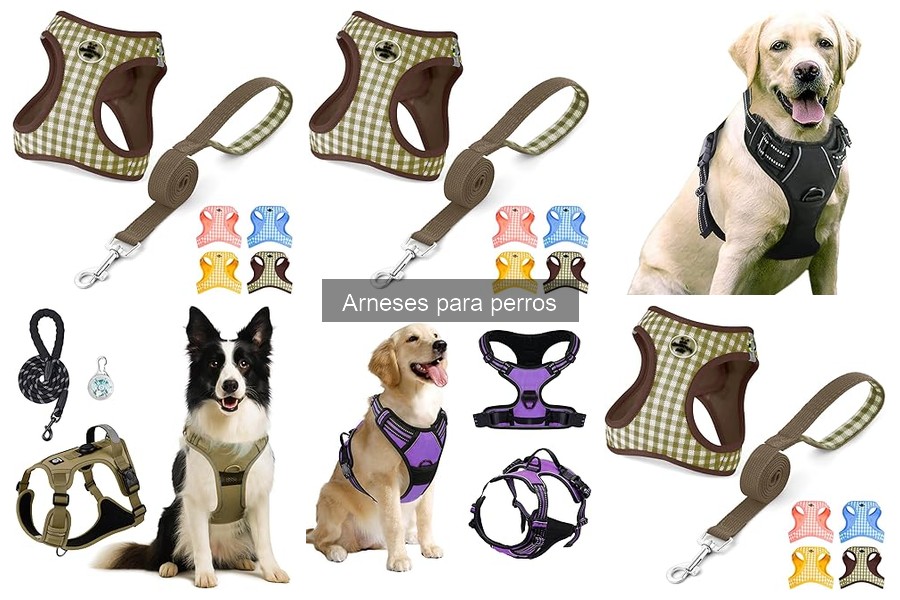 Alternativas al arnés para perros: opciones y ventajas