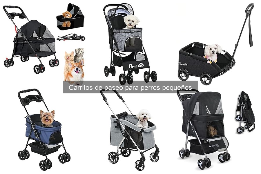 Alternativas al carrito de paseo para perros pequeños