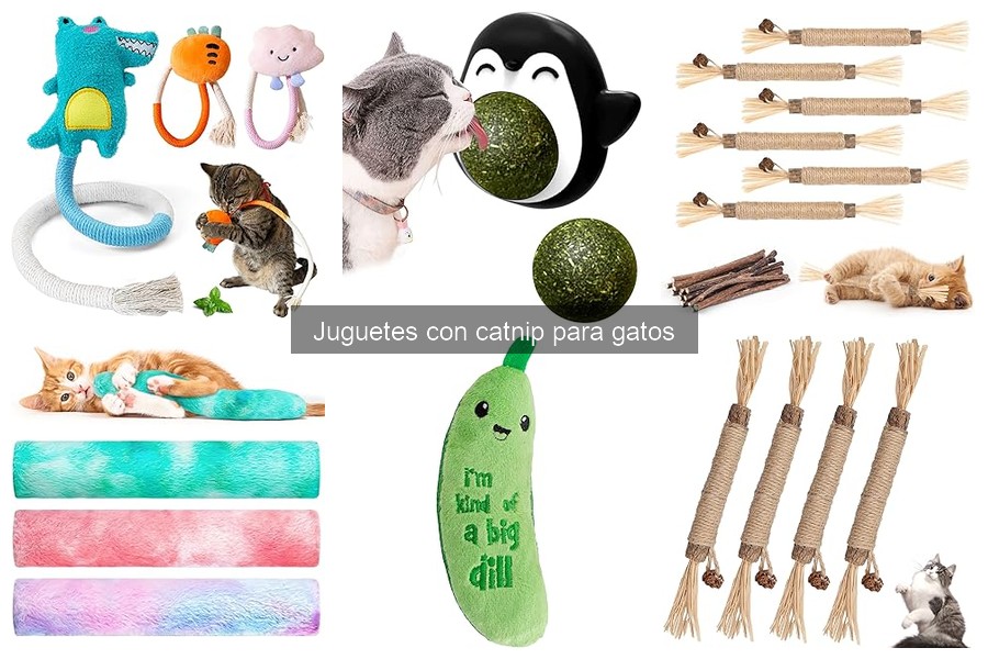 Alternativas al catnip para gatos: 3 opciones efectivas