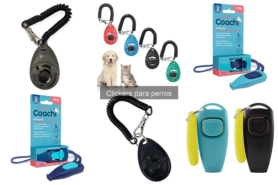 Alternativas al clicker en el entrenamiento de perros