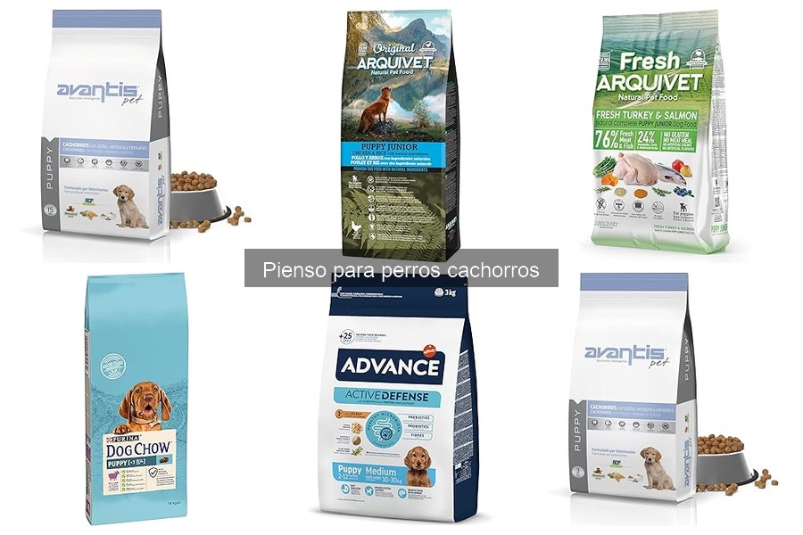 Alternativas al pienso comercial para cachorros de perro