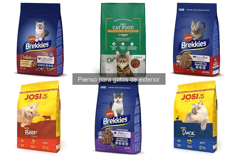 Alternativas al pienso comercial para gatos de exterior