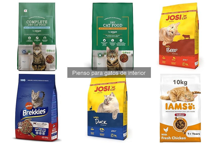 Alternativas al pienso comercial para gatos de interior