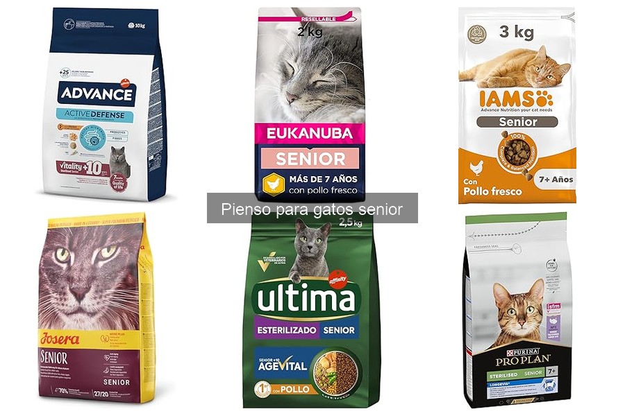 Alternativas al pienso comercial para gatos senior