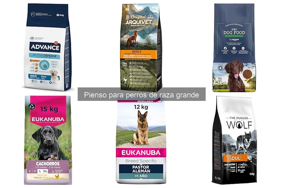 Alternativas al pienso comercial para perros grandes