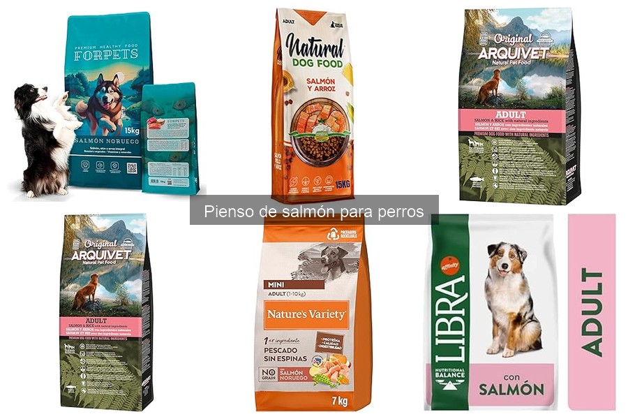 Alternativas al pienso de salmón para perros: Mejores opciones