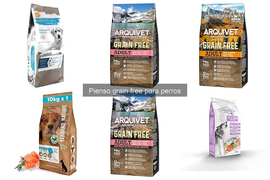 Alternativas al Pienso Grain Free para Perros | Mejores Opciones