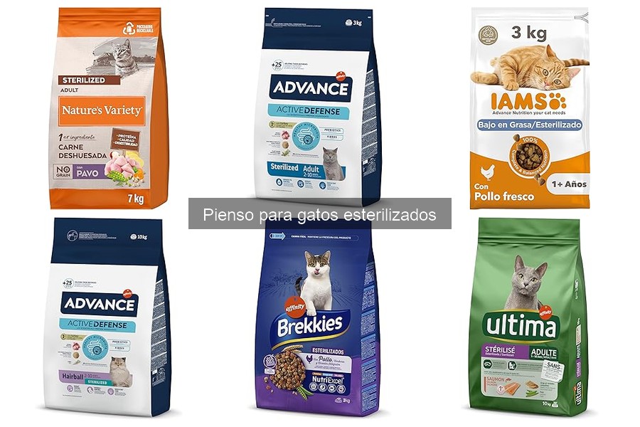 Alternativas al Pienso para Gatos Esterilizados: Opciones Saludables