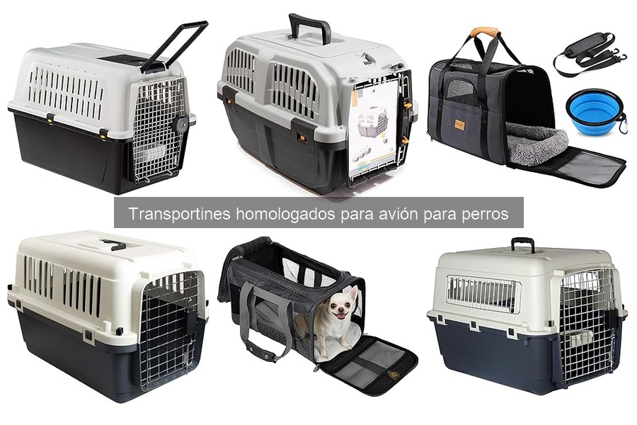 Alternativas al transportín homologado para perros en avión