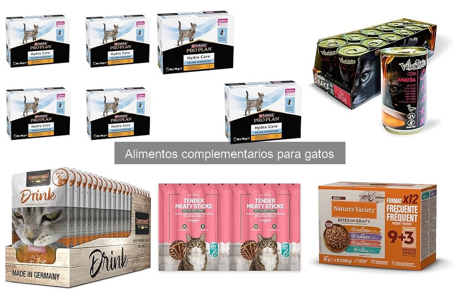 Alternativas caseras a alimentos complementarios para gatos