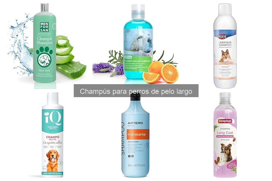 Alternativas Caseras a Champús para Perros de Pelo Largo