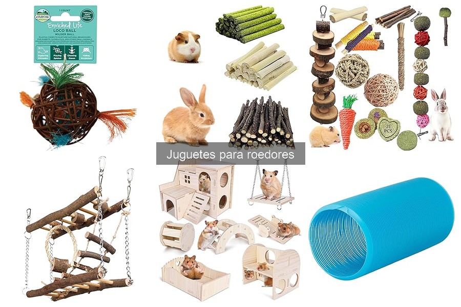 Alternativas caseras a juguetes para roedores