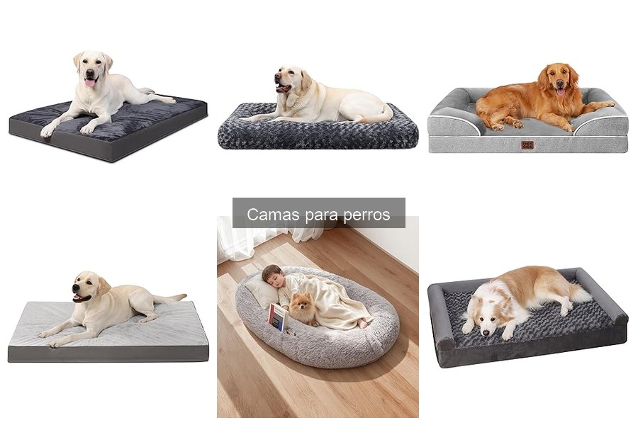 Alternativas Creativas a Camas para Perros Convencionales