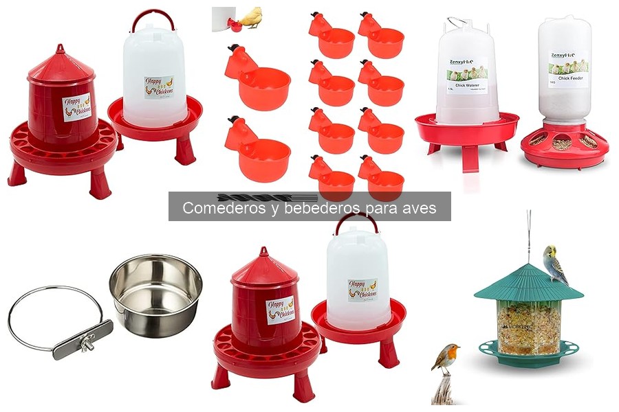 Alternativas Creativas a Comederos y Bebederos Tradicionales para Aves