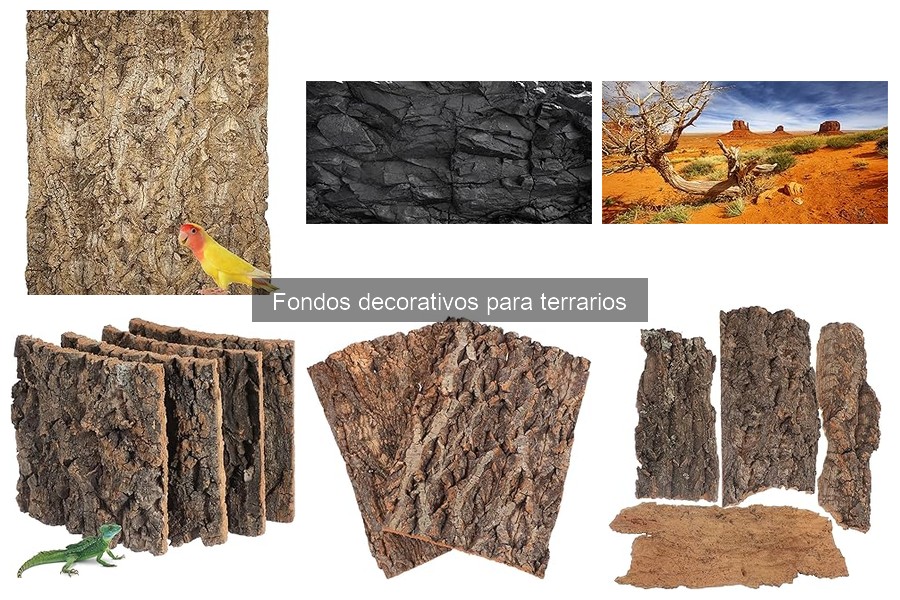 Alternativas creativas a fondos decorativos para terrarios