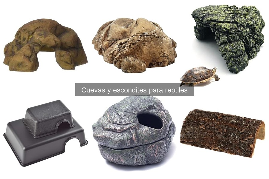 Alternativas creativas a las cuevas para reptiles