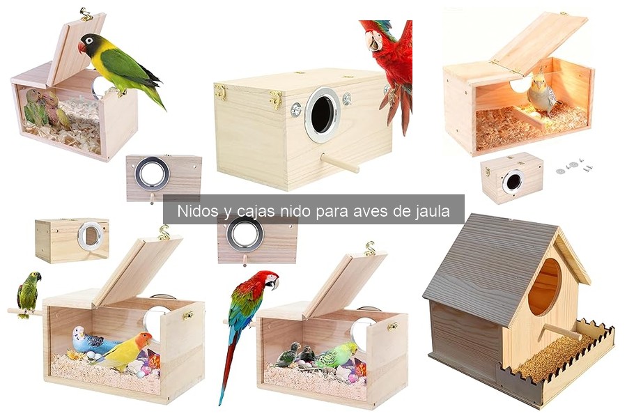 Alternativas creativas a nidos y cajas nido para aves