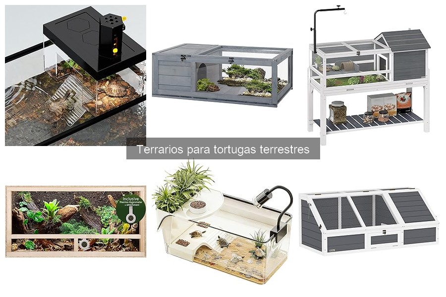 Alternativas creativas a terrarios para tortugas terrestres