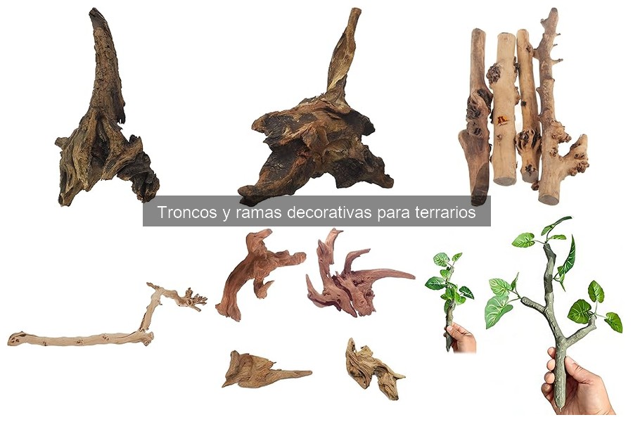 Alternativas decorativas a troncos y ramas en terrarios