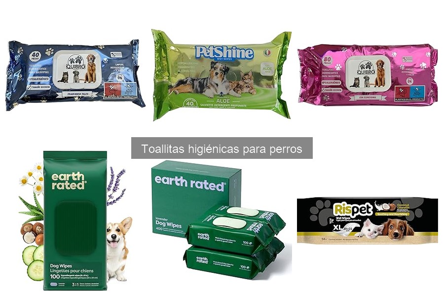 Alternativas Efectivas a las Toallitas Higiénicas para Perros